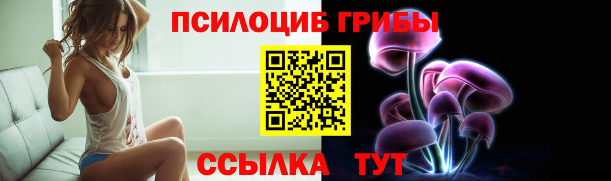 Галлюциногенные грибы прущие грибы Заводоуковск